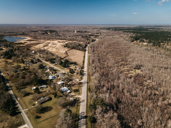 Quelles techniques pour cultiver des plantes médicinales dans une salle de bain humide ?